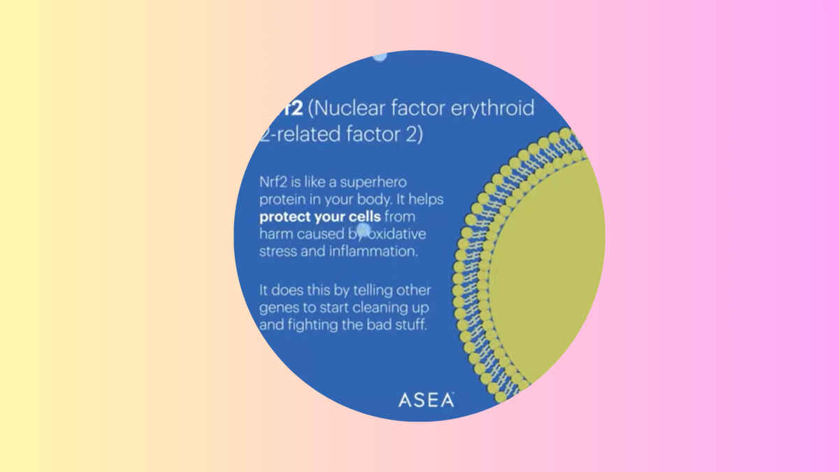 What is Nrf2