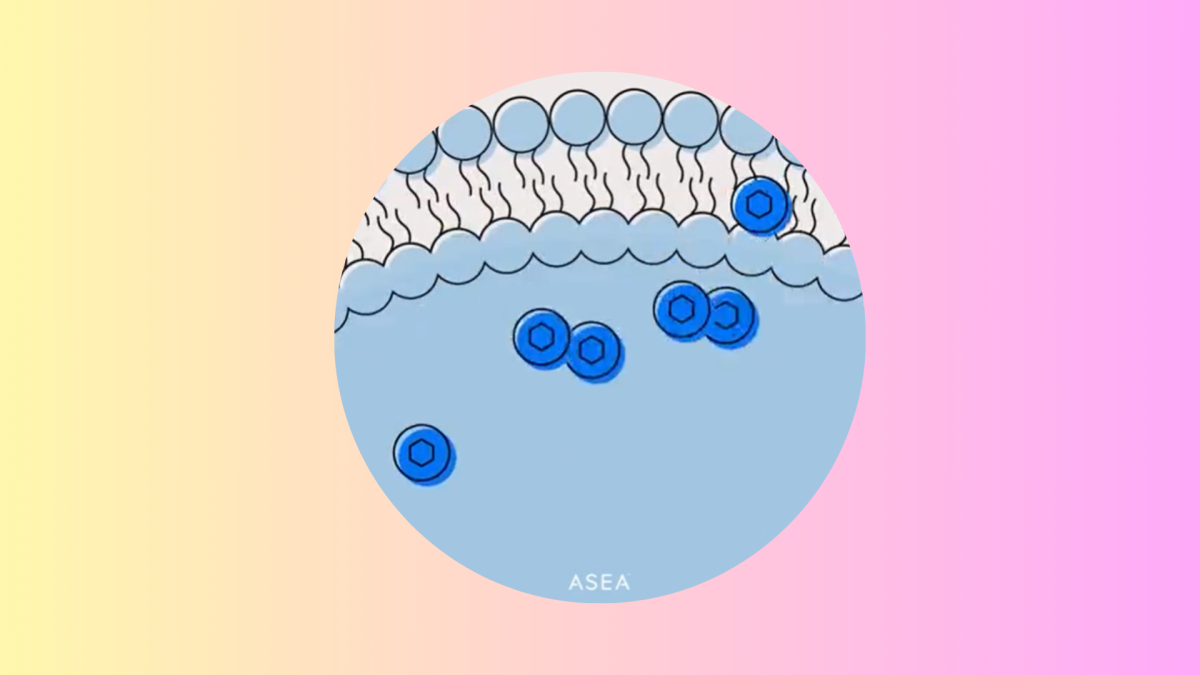 What is Redox Signaling